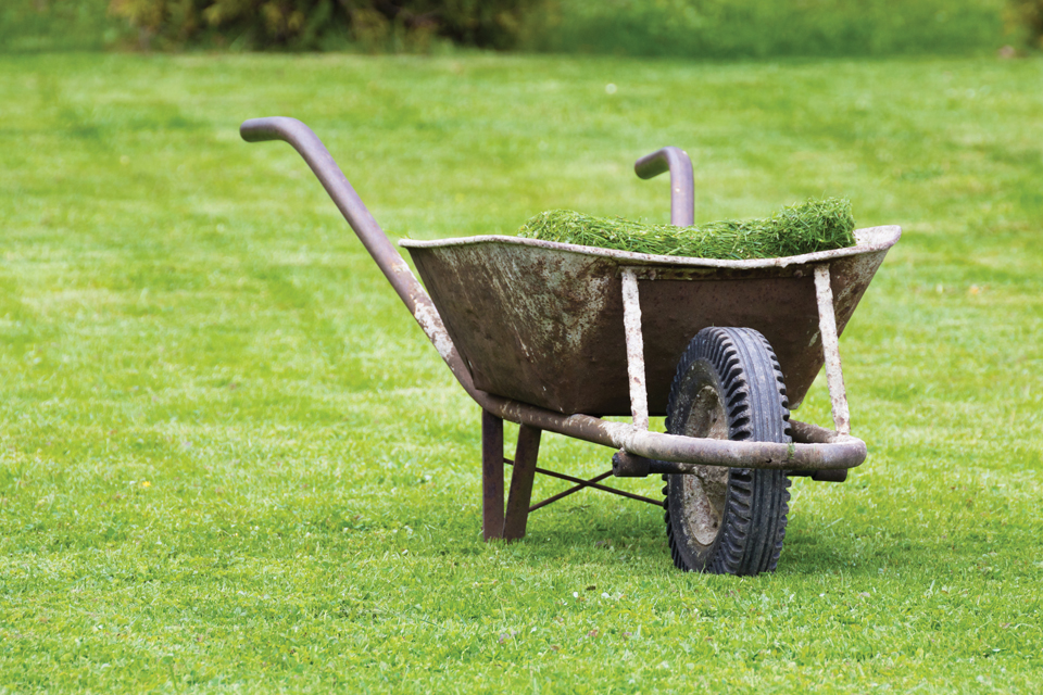 wheelbarrow in green grass